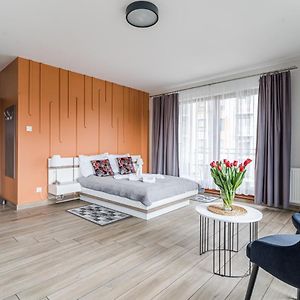 Studio met een King Size Bed